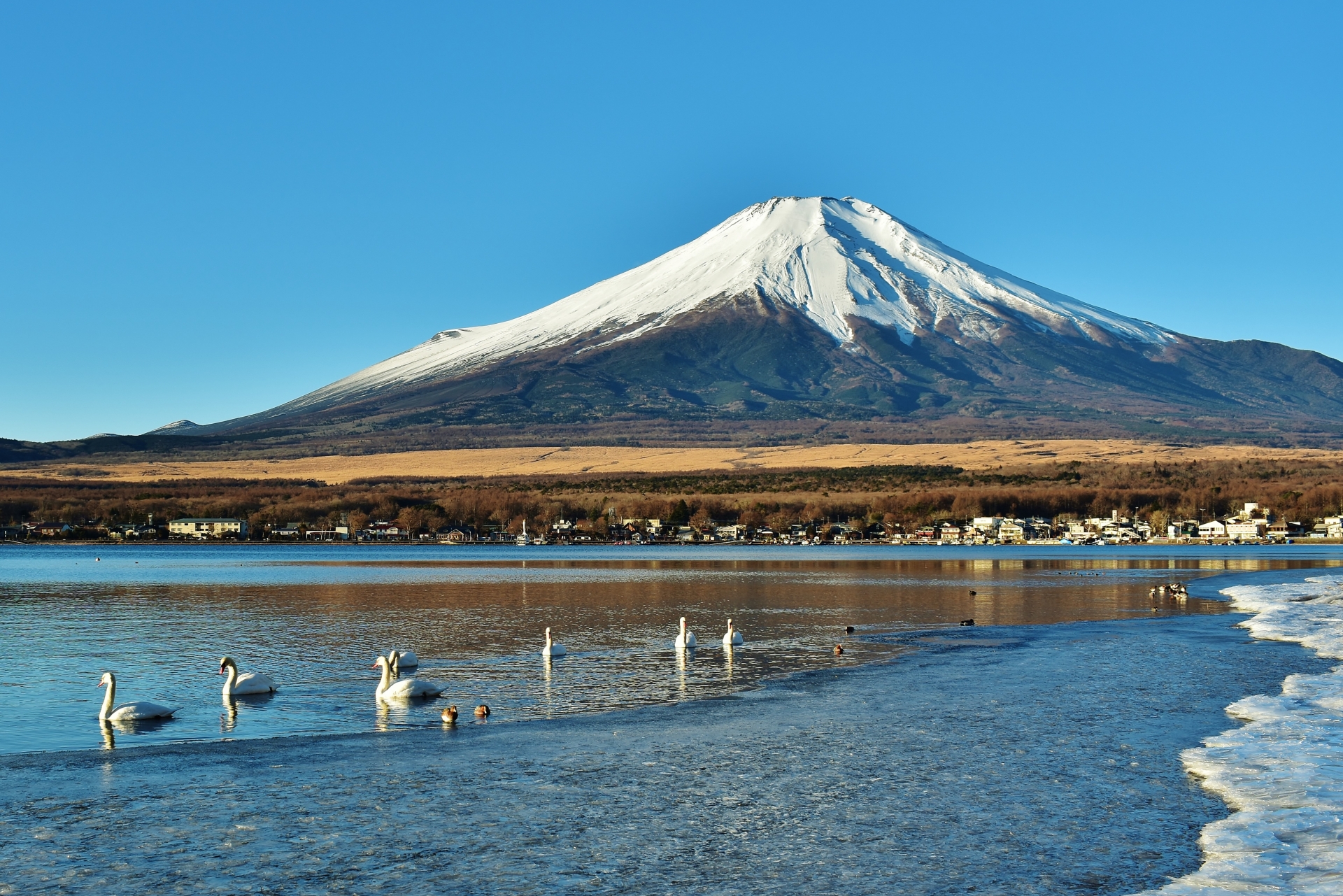 富士山